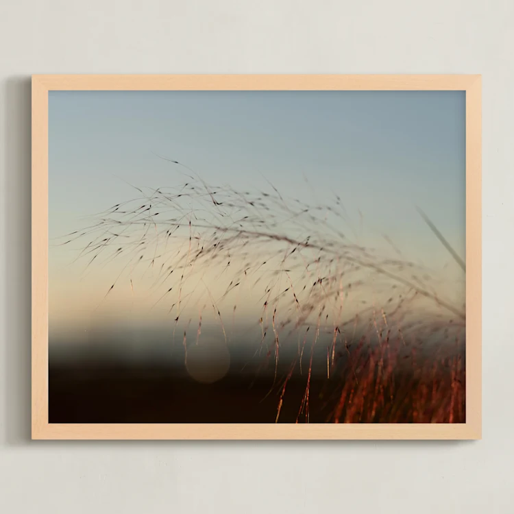 Airy Afternoons