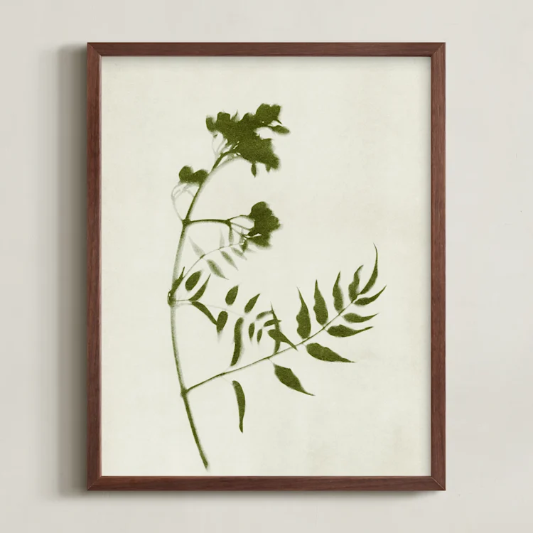 Foraged I