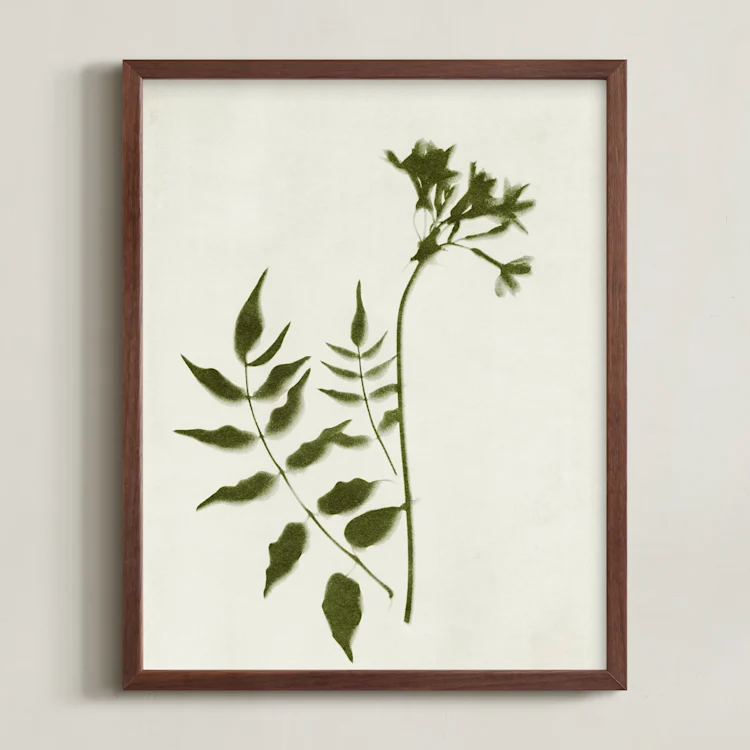 Foraged II