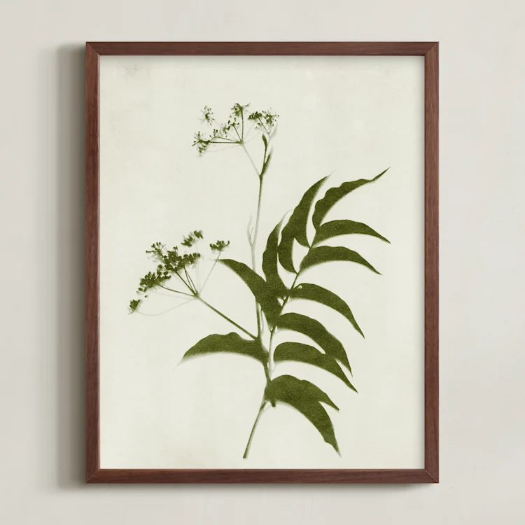 Foraged III