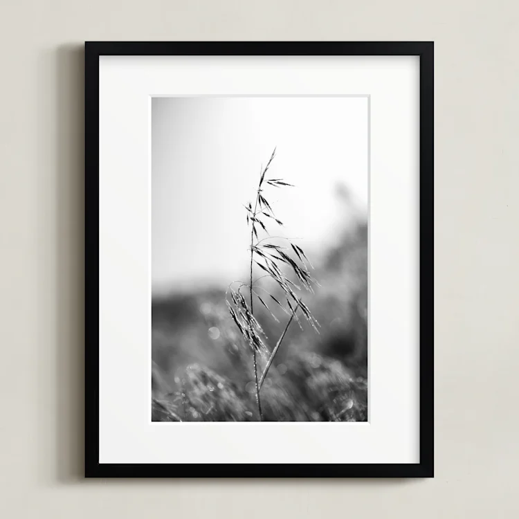 Dancing grass